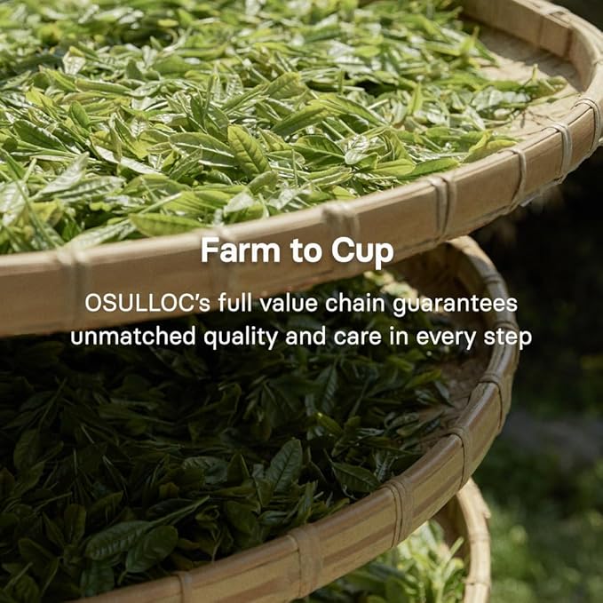OSULLOC Volcanic Isle Matcha Powder, Premium Korean Matcha, Green tea powder from Jeju Island (2.12oz, 60g)
