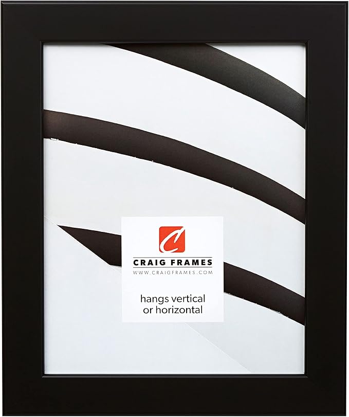 Craig Frames 10x13 Black Picture Frame, Wall Decor for Art and Photos | Ready to hang with a protective glass front, made in the USA for a gallery display by CraigFrames