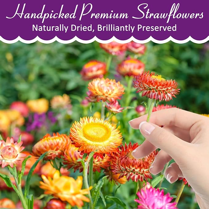 Edible Mixed Color Dried Flowers, 70 Pcs Food Grade Edible Flowers | Natural Dreid Flowers for Garnishing Cocktails, Cake Decorations, Drink Botanicals, Tea Infusions and DIY Crafts (2 oz) - Image 7