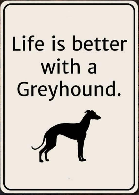 Greyhound Sign, Greyhound Gift, Greyhound Decor, Greyhound Owner Sign, Greyhound Lover Gift, Greyhound Saying Sign, Quality Metal Dog Owner 12x16 Inches,Fun Kitchen Decor, Funny Bar Signs, Vintage Kitchen Signs by ANWND