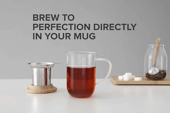 VIVA Minima Eva Glass Tea Cup with Mesh Infuser - Coffee Mug With Porcelain Lid/Saucer - 14 oz / 400 ml, Wool
