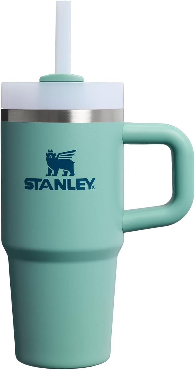 STANLEY Quencher H2.0 Flow State Tumbler, 14 oz, Spring Green | Handle and Straw | 3-Position Lid | Cup Holder Compatible for Travel | Insulated Stainless Steel Cup | BPA-Free by Unknown