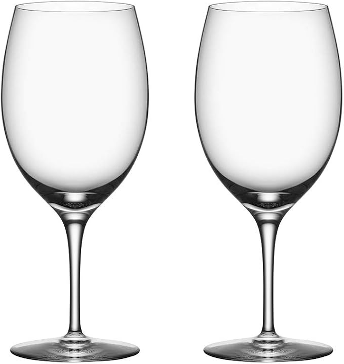 Premier 24 oz. All Purpose Stemware, Set of 2 by Orrefors