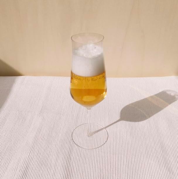 Zalto Denk'Art Beer Hand-Blown Crystal Wine Glasses | 6 Pack Box - Image 6