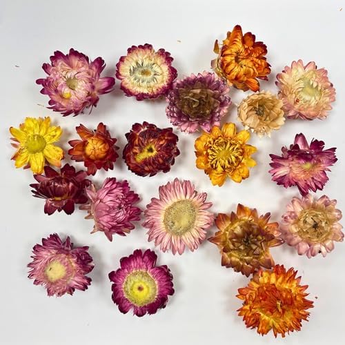 Edible Dried Mixed Flowers & Orange Slices Bundle, 100% Natural Garnish for Cocktails, Tea, Cake Decoration & Desserts, PET Jars, 7.05 oz Total - Image 8