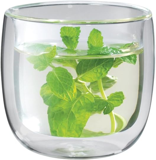 ZWILLING Sorrento 2-pc Double-Wall Glass Tea Cup Set by Zwilling