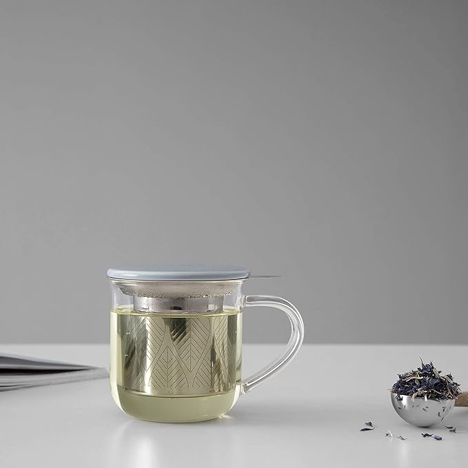 VIVA Minima Eva Glass Tea Cup with Mesh Infuser - Coffee Mug With Porcelain Lid/Saucer - 14 oz / 400 ml, Hazy Blue
