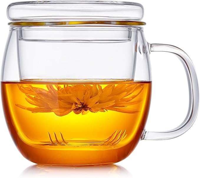 Glass Tea Cup with Infuser and Lid, 17oz/500ml Large Borosilicate Teacup, Clear Mug for Loose Leaf Tea, Blooming Tea, Tea Bags - Perfect Christmas or Birthday Gift for Women