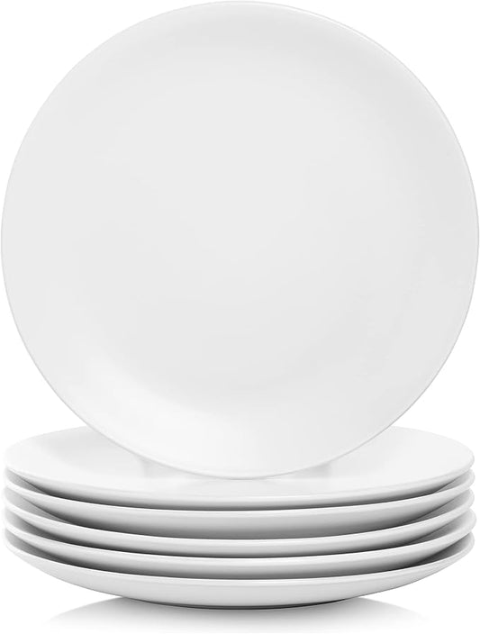 10 Strawberry Street Wazee Matte 10.5" Coupe Dinner Plate, Set of 6, White by 10StrawberryStreet