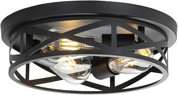 Farmhouse Cage Ceiling Light Fixtures, 3-Light Indoor Close to Ceiling Lights, 13 Inch Round Vintage Metal Flush Mount Ceiling Lights for Bedroom, Living Room, Porch Kitchen Entrance, Black by Wyneyet