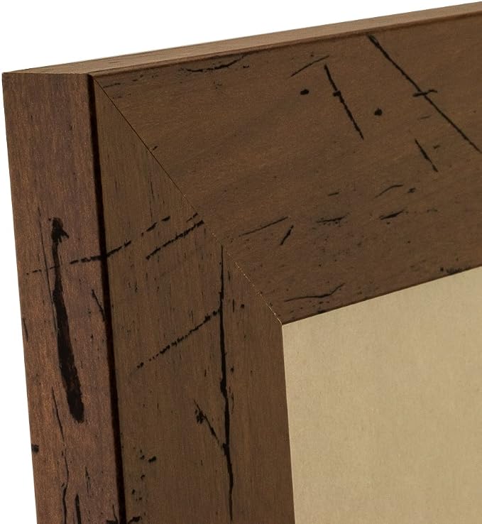 Craig Frames Bauhaus 200, Rustic Dark Walnut Brown Picture Frame, 8 by 11-Inch - Image 4