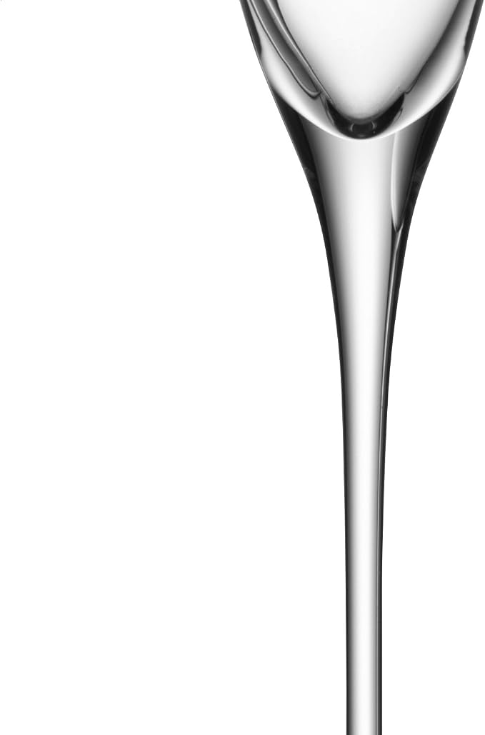 LSA International Wine Champagne Flute (4 Pack), 5.4 fl. oz., Clear - Image 3