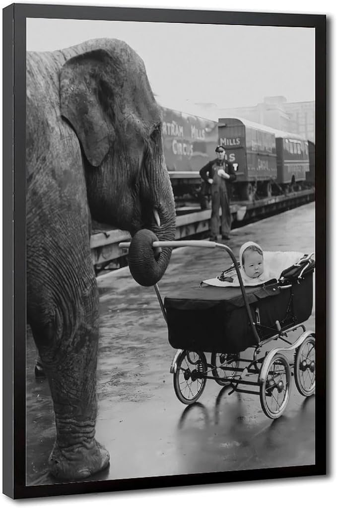 UXCBIA Elephant Pushing A Baby Carriage, London 1950, Black And White Vintage, Funny Animal Poster Canvas Poster Bedroom Decor Sports Landscape Office Room Decor Gift Black Frame 16x24in(40x60cm) by Unknown
