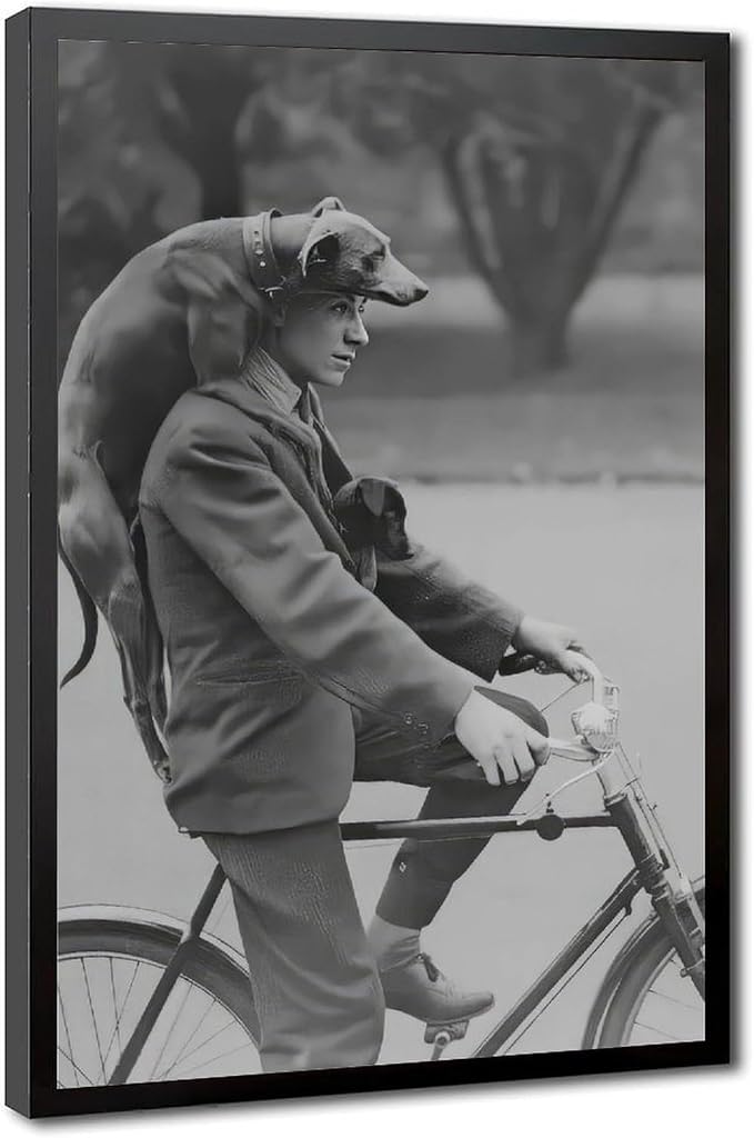 Man on Bike With Two Dogs Portrait, Vintage Dachshund, Black And White, Old Photography Poster Canvas Poster Wall Art Decor Print Picture Paintings for Living Room Bedroom Decoration Black Frame 12x18 by Unknown
