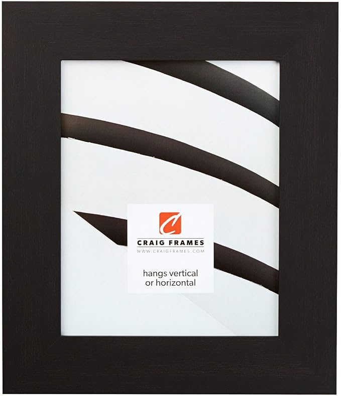 Craig Frames 22x28 Dark Brown Picture Frame for Posters and Gallery Wall | Lightweight shatter resistant acrylic facing with a rigid backing board, made in the USA by CraigFrames