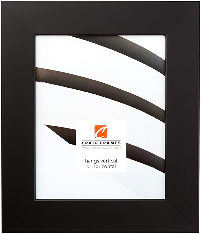 Craig Frames 12x36 Black Poster Frame for Posters, Gallery Wall, and Photos | Lightweight shatter resistant acrylic facing with a rigid backing board, made in the USA by CraigFrames