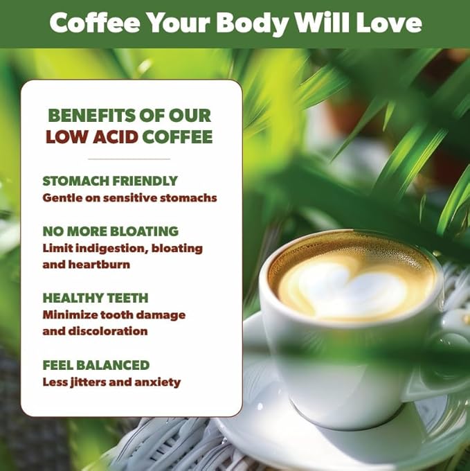 Low Acid Organic Coffee – Whole Bean, Mold-Free & Stomach Friendly by Java Planet, Ethiopian Single Origin Coffee, Medium Roast, Smooth Full Flavored, 1LB Bag