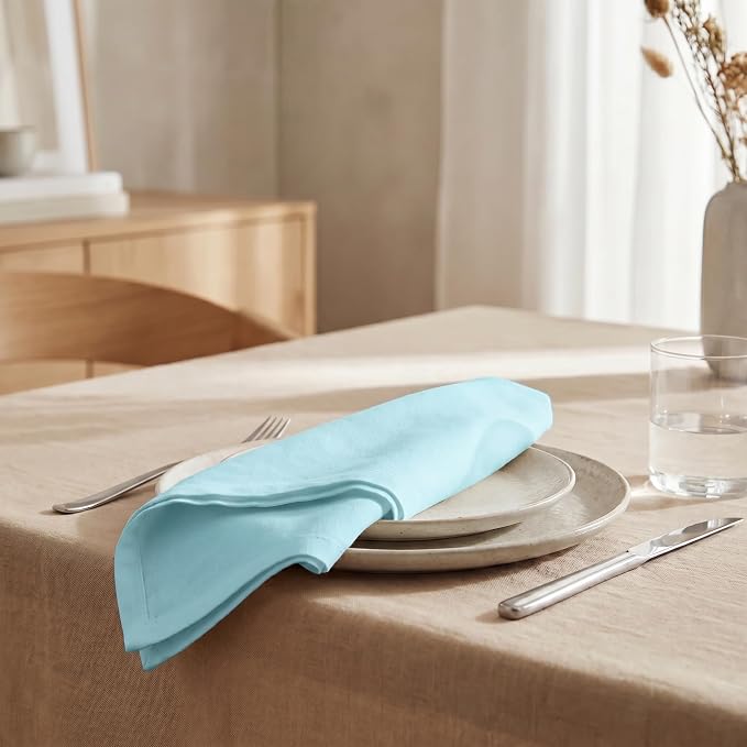 Urban Villa Cloth Napkins Cotton 20x20 (Set of 12) Aqua - Image 4