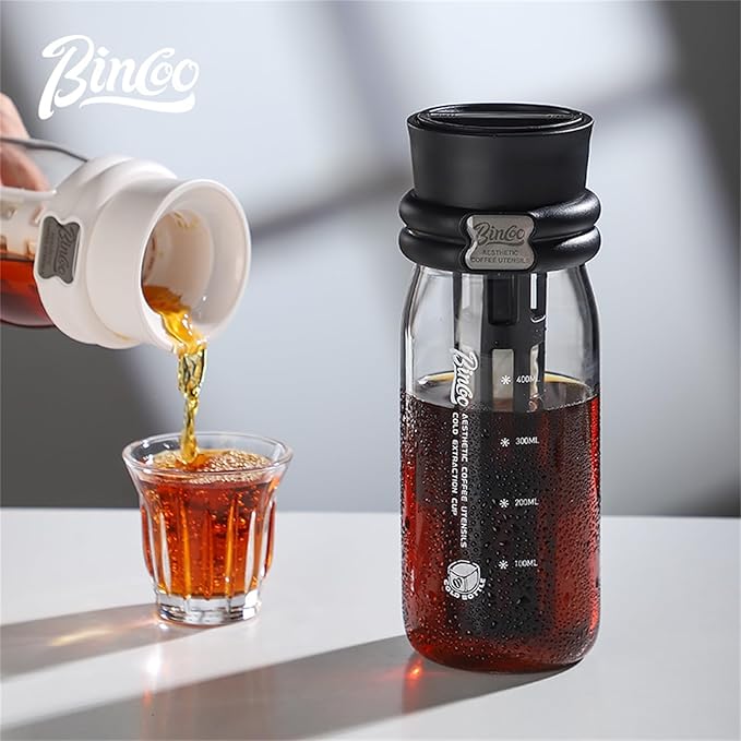 Bincoo Borosilicate Glass Cold Brew Coffee Maker-600ml,Leak-Proof,Cold Brew Bottle with Fine Mesh Filter & Silicone Funnel,Multi-Functional for Coffee & Fruit Tea (Black)