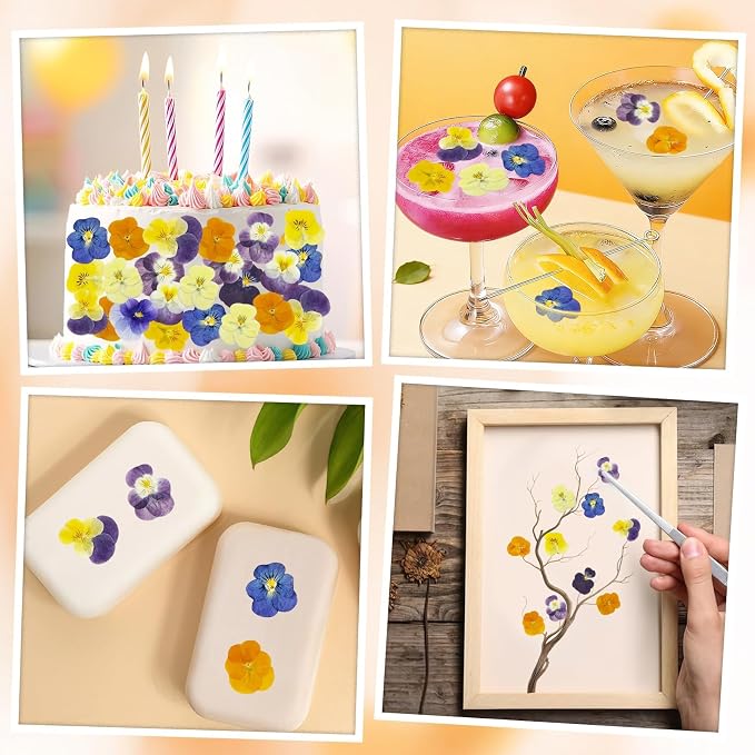 80 Pcs 10 Types Dried Edible Flowers Pressed for Cake Decorating | Natural Flower Mix for Cupcake Toppers Cocktail Garnish Dessert Decor Baking Supplies Resin Jewelry Making DIY Crafts - Image 7