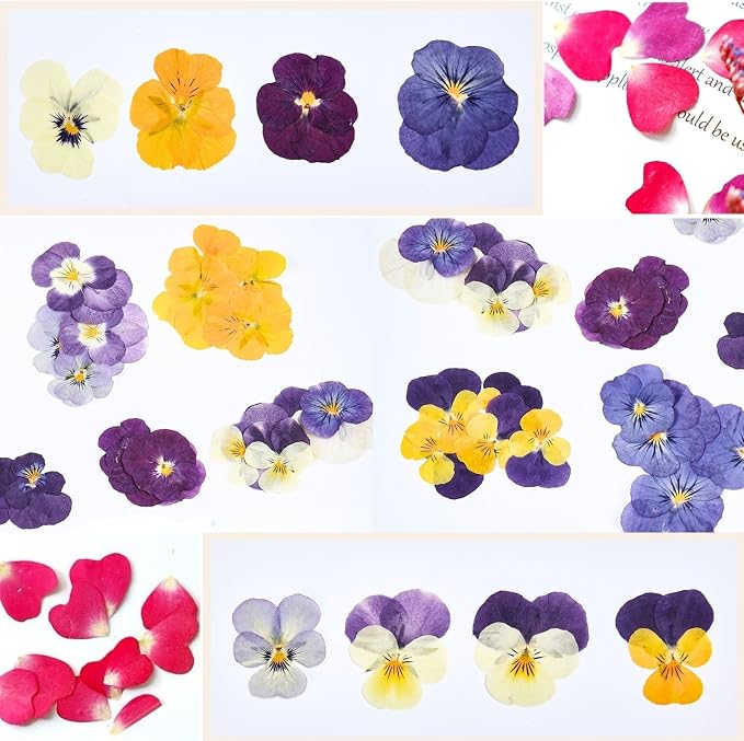 63 Pcs Edible Flowers Cake Decorations – Dried Edible Flowers for Cocktails, Drinks, Cupcake Topper & Cake Decorating, Food Grade Pressed Flowers Mix with Pansy, Heart Rose Petals & Orange - Image 8