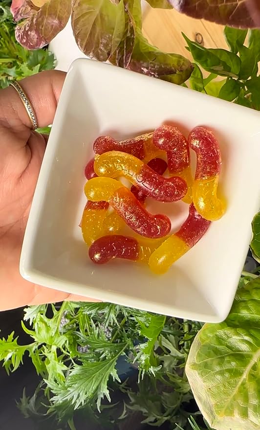 LĒVO Gummy Worm Silicone Candy Molds - Set of 2 Candy Mold Trays with Dividers & Snap On Lids - Make Your Own Two Tone Gummy Worms - For Your LĒVO Infusion - Made from Non-Stick Food Grade Silicone - Image 4