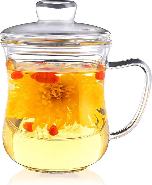 CNGLASS Glass Tea Cup with Removable Infuser and Lid,10oz Thickened Glass Infuser Mug,Borosilicate Glass Mug for Loose Leaf Tea,Teabags