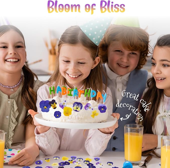 40 Pcs 8 Kinds Natural Dried Pressed Edible Flowers for Cake Topper | Mix Viola Tricolor for Cupcake Toppers Decorating, Cocktails, Resin Jewelry Making, DIY Art Crafts - Image 3