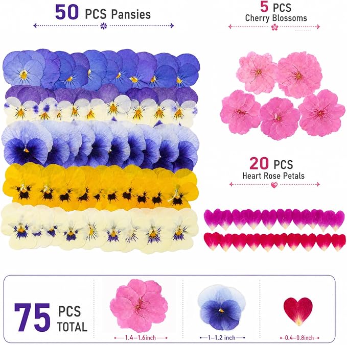 75 Pcs Edible Pressed Flowers for Cakes, Cocktails, Drinks & DIY Art Crafts | Natural Dried Edible Flowers for Drinks, DIY Crafts, Food Grade Mix of Pansies, Cherry Blossoms & Heart Rose Petals - Image 2