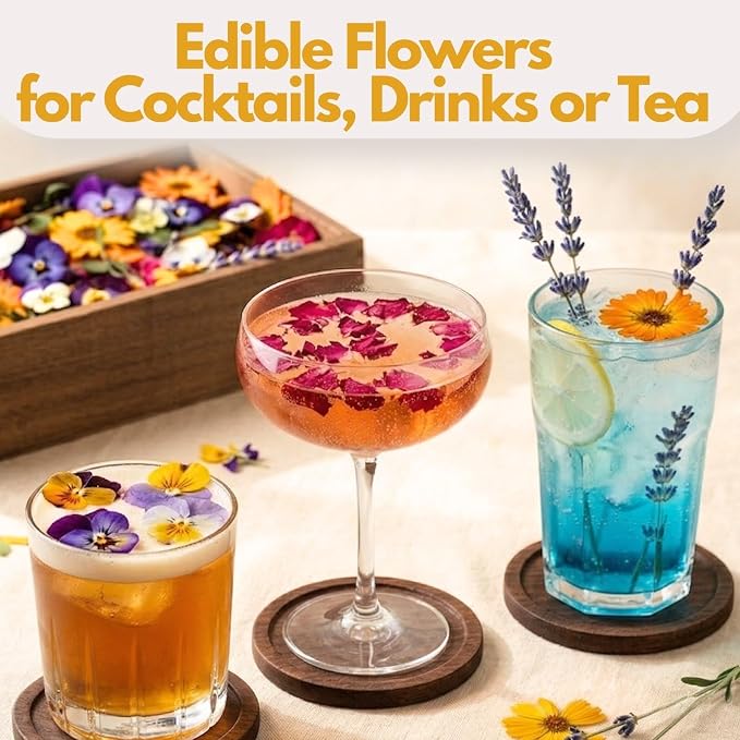 70 Pcs Edible Flowers for Cocktails & Cake Decorating – Real Dried Edible Flowers Cupcake Toppers, Food Grade Edible Pressed Flowers for Drinks, Garnish & Crafts (Pansies, Rose, Calendula, Lavender) - Image 6