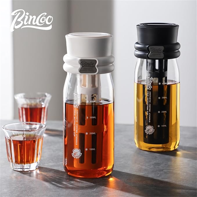 Bincoo Borosilicate Glass Cold Brew Coffee Maker-600ml,Leak-Proof,Cold Brew Bottle with Fine Mesh Filter & Silicone Funnel,Multi-Functional for Coffee & Fruit Tea (Black)