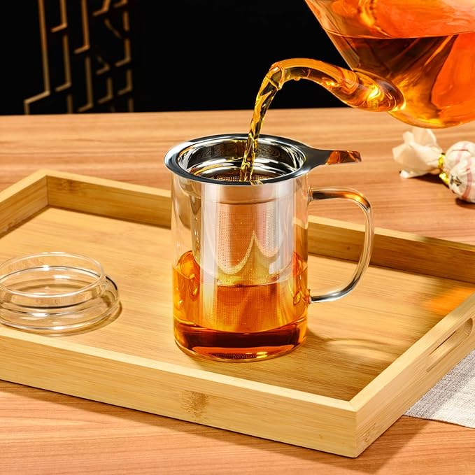 PARACITY Tea Cup, Borosilicate Clear Tea Mug with Removable Stainless Steel Infuser and Lid, Tea Cup 15oz/450ml Stove Safe, Glass Teas Cups for Loose Tea, Gift for Family and Friends