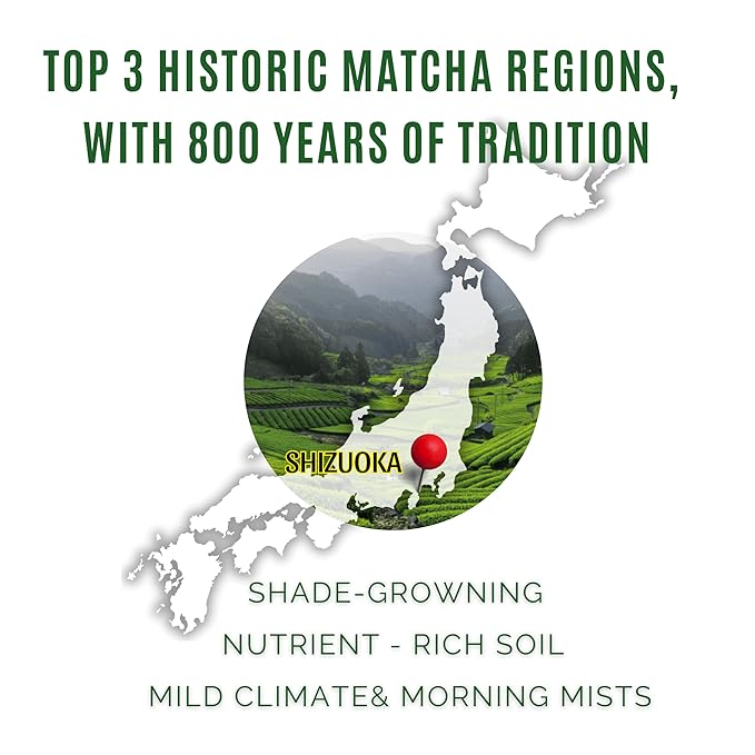 Satoen Authentic Japanese Ceremonial Grade Matcha Powder - Ceremonial Matcha Green Tea Powder from 100% Spring Premium First Harvest - Crafted for Matcha Straight Tea (100g)