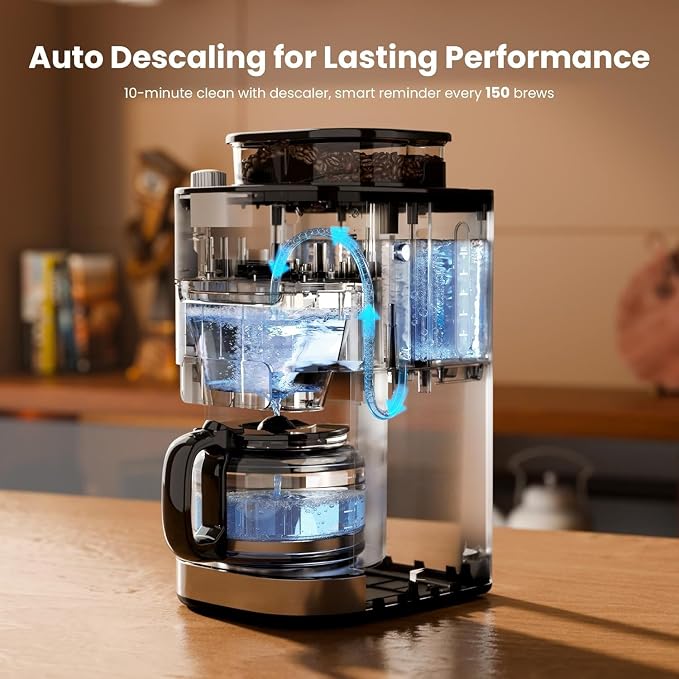 Kismile 10 Cup Drip Coffee Maker with Grinder Built In, Descaling Alert | Adjustable Grind & Brew Strength, 24H Timer, 2H Keep Warm, Reusable Filter & Glass Carafe - Image 4