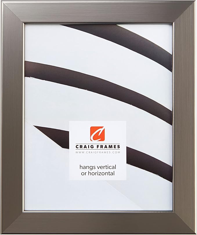 Craig Frames 26966 24 x 36-Inch Picture Frame, Smooth Wrap Finish, 1.26-Inch Wide, Silver Stainless by CraigFrames
