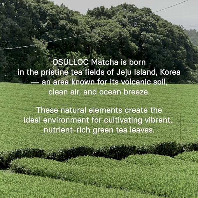 OSULLOC Volcanic Isle Matcha Powder, Premium Korean Matcha, Green tea powder from Jeju Island (2.12oz, 60g)