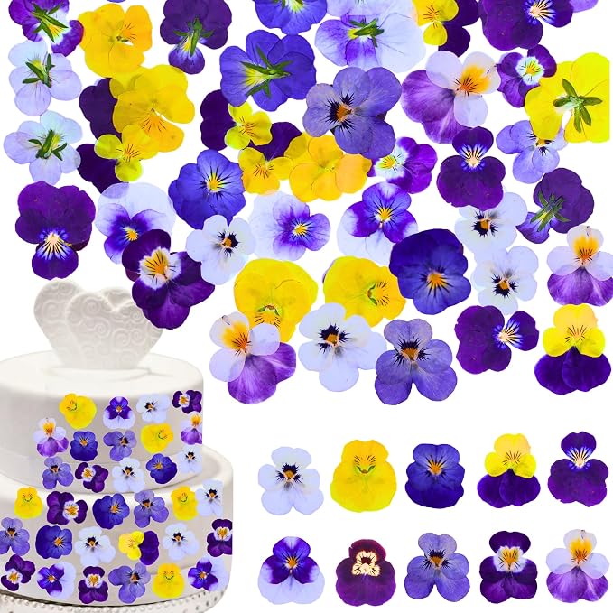 PureHabitat 60 Pcs 10 Colors Natural Dried Pressed Edible Viola Tricolor Flowers for Cake Topper Decoration – for Cupcake Toppers Cocktails Resin Jewelry DIY Crafts (Purple) by Unknown