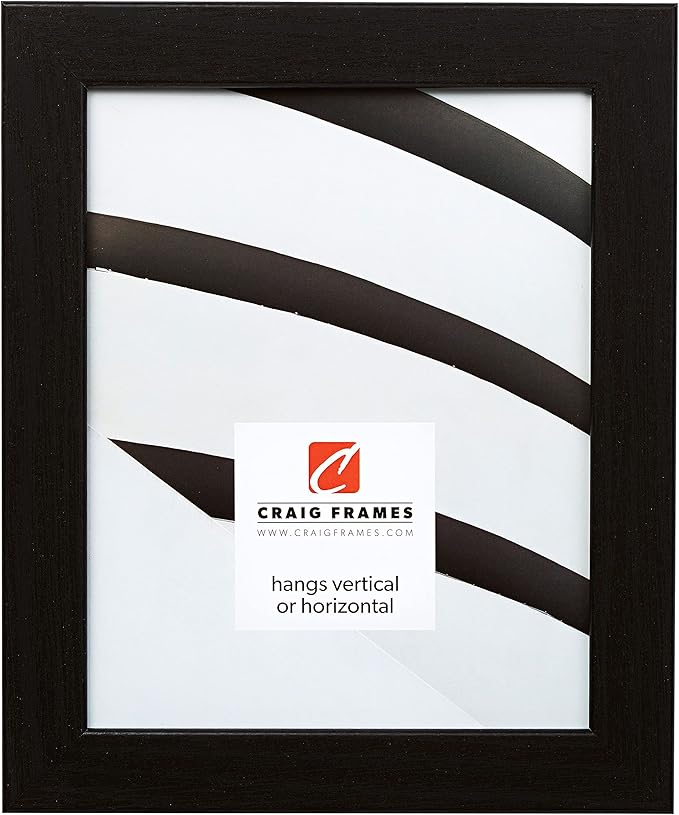 Craig Frames Bauhaus 125, 4x10 Picture Frame, Black Oak by CraigFrames