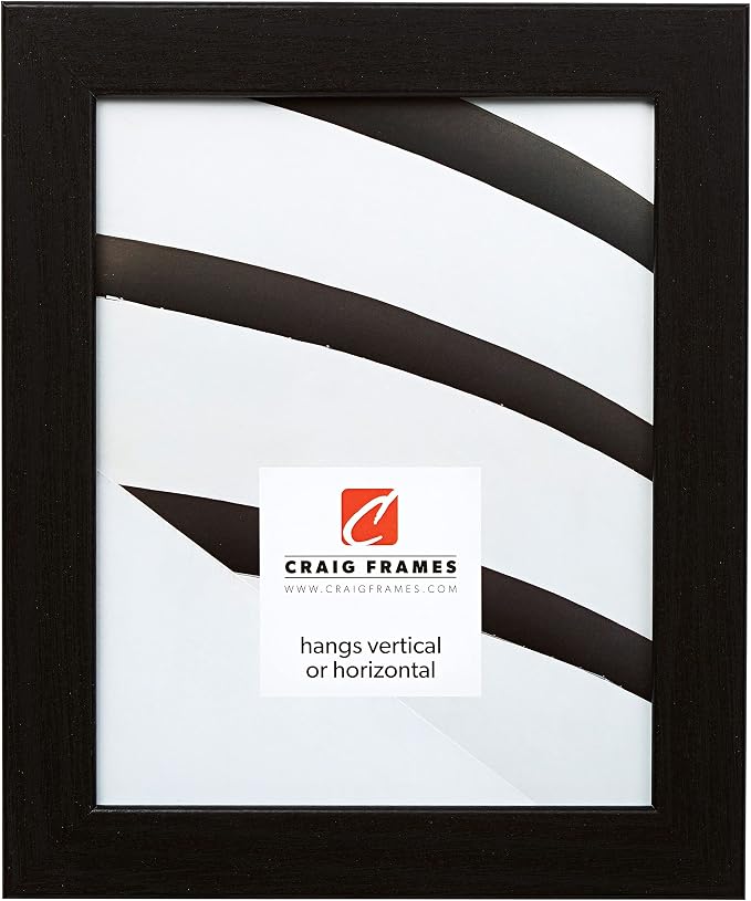Craig Frames Bauhaus 125, 8x12 Picture Frame, Black Oak by CraigFrames