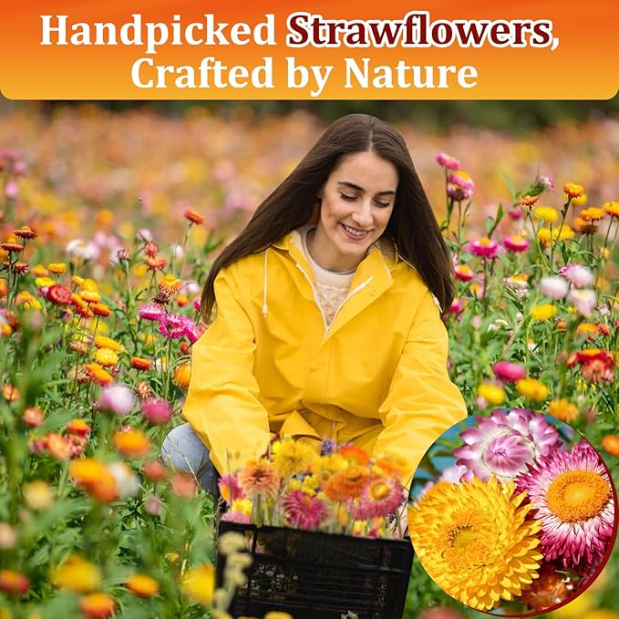 100+ Edible Dried Flowers for Cake Decoration – Food Grade Mixed Colorful Chrysanthemum Flowers for Baking, Cocktails, Cupcakes, Drinks, DIY Crafts - Image 3