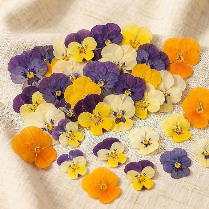 80 Pcs 10 Types Dried Edible Flowers Pressed for Cake Decorating | Natural Flower Mix for Cupcake Toppers Cocktail Garnish Dessert Decor Baking Supplies Resin Jewelry Making DIY Crafts - Image 6