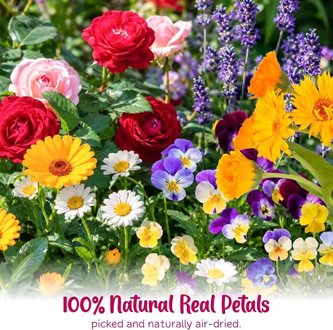 70-Piece Edible Pressed Flowers, 11-Kind Cake Topper and Cocktail Mix | Food-grade Flowers, viola, rose, lavender, calendula and daisy for cocktails, desserts, garnishes and crafts. - Image 5