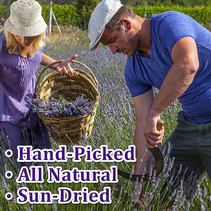 130+ Edible Lavender Sprigs for Cocktails & Cake Garnish, 6.69" Culinary Grade Lavender Sticks for Tea, Cooking & Decor – 1.76 oz (50g) Food-Grade Flowers for Wedding, DIY & Gifting - Image 7