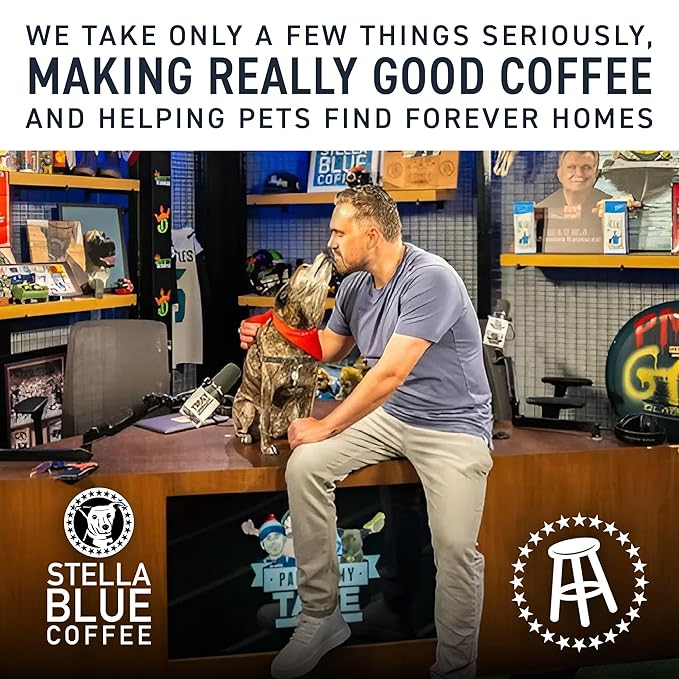 Stella Blue Cold Brew Coffee Bags, Cinnamon Sugar Donut, Medium Roast Ground Coffee, Smooth, Bold and Refreshing 100% Arabica, 6 Brew Packets, Makes 24 Cups, Rainforest Alliance Certified