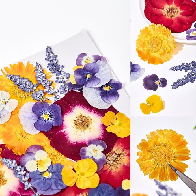 70 Pcs Edible Flowers for Cocktails & Cake Decorating – Real Dried Edible Flowers Cupcake Toppers, Food Grade Edible Pressed Flowers for Drinks, Garnish & Crafts (Pansies, Rose, Calendula, Lavender) - Image 9