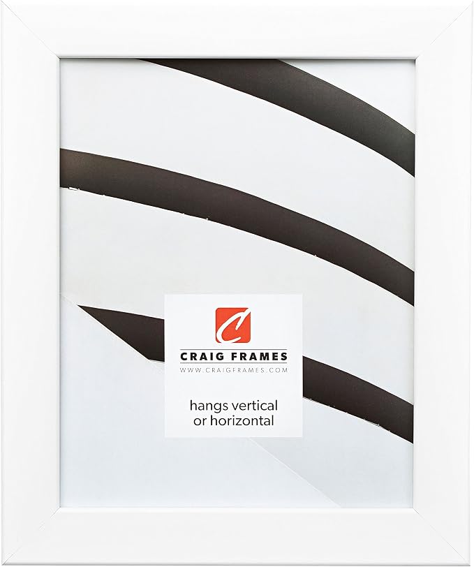 Craig Frames Bauhaus 125, 24x30 Picture Frame, White Satin Mica by CraigFrames