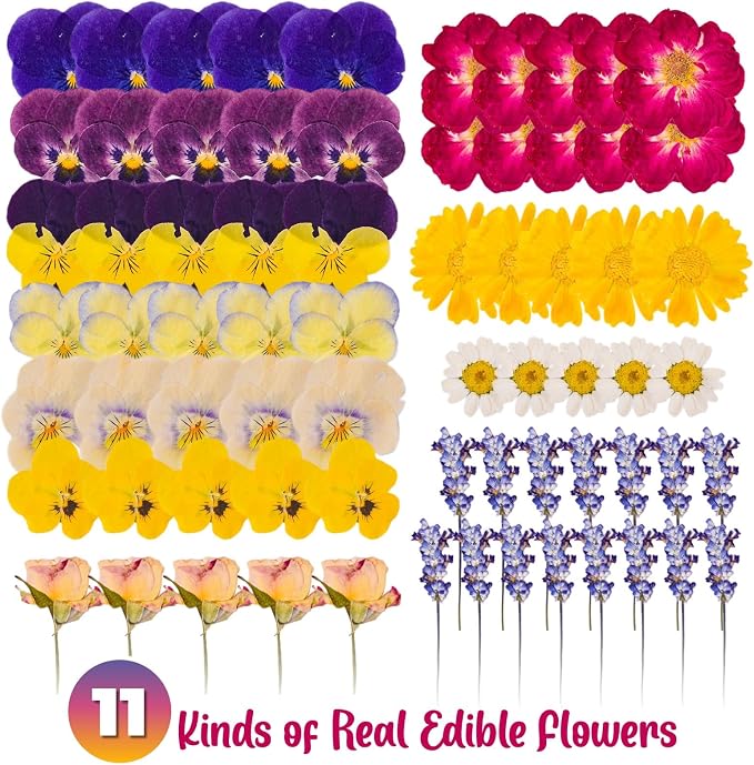 70-Piece Edible Pressed Flowers, 11-Kind Cake Topper and Cocktail Mix | Food-grade Flowers, viola, rose, lavender, calendula and daisy for cocktails, desserts, garnishes and crafts. - Image 3