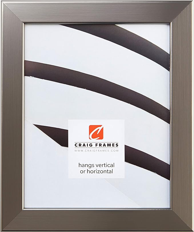 Craig Frames 11x17 Silver Picture Frame, Wall Decor for Art and Photos | Ready to hang with a protective glass front, made in the USA for a gallery display by CraigFrames