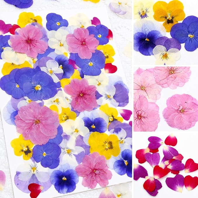 75 Pcs Edible Pressed Flowers for Cakes, Cocktails, Drinks & DIY Art Crafts | Natural Dried Edible Flowers for Drinks, DIY Crafts, Food Grade Mix of Pansies, Cherry Blossoms & Heart Rose Petals - Image 5