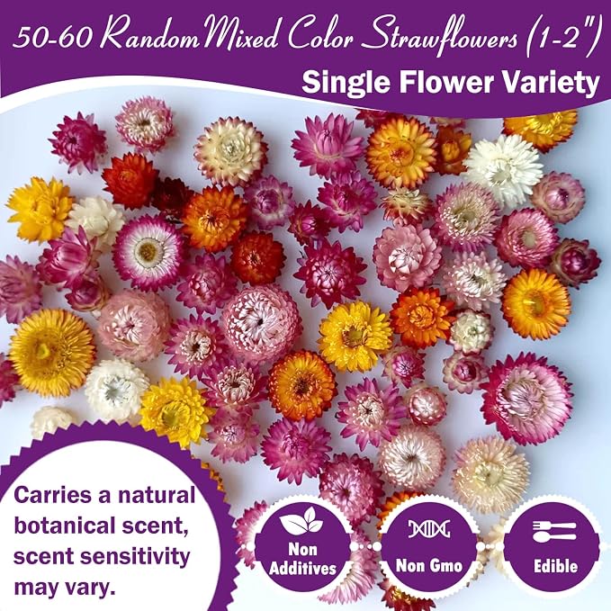 Edible Mixed Color Dried Flowers, 70 Pcs Food Grade Edible Flowers | Natural Dreid Flowers for Garnishing Cocktails, Cake Decorations, Drink Botanicals, Tea Infusions and DIY Crafts (2 oz) - Image 2